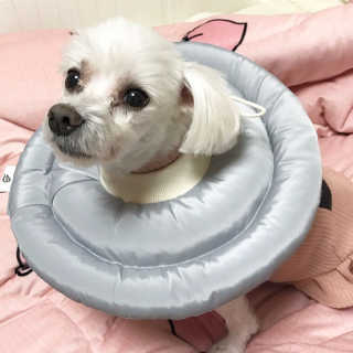 vivian님이 올린 리뷰 사진 1