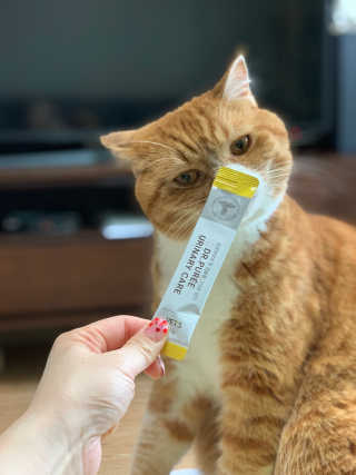 선짱님이 올린 리뷰 사진 2