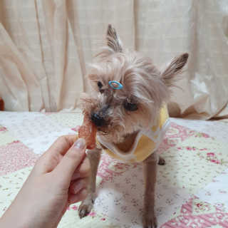 솜희님이 올린 리뷰 사진 4