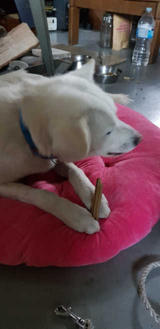 Jenny님이 올린 리뷰 사진 1