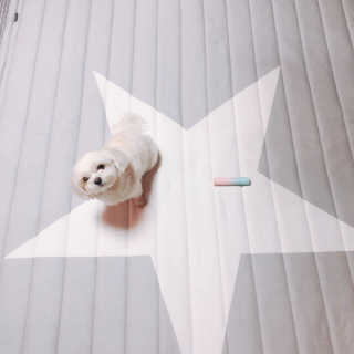 콩순이엄마님이 올린 리뷰 사진 2