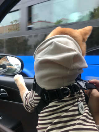 정희수님이 올린 리뷰 사진 2