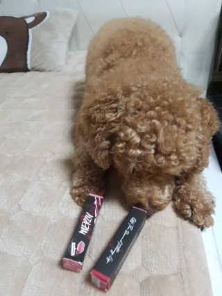 망고맘님이 올린 리뷰 사진 2