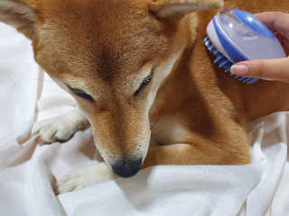 라애님이 올린 리뷰 사진 3