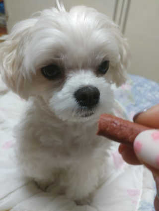 김진희님이 올린 리뷰 사진 3