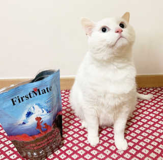 수달짱님이 올린 리뷰 사진 3