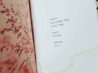 신다님이 올린 리뷰 사진 3