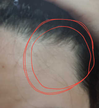 얍얍님이 올린 리뷰 사진 2