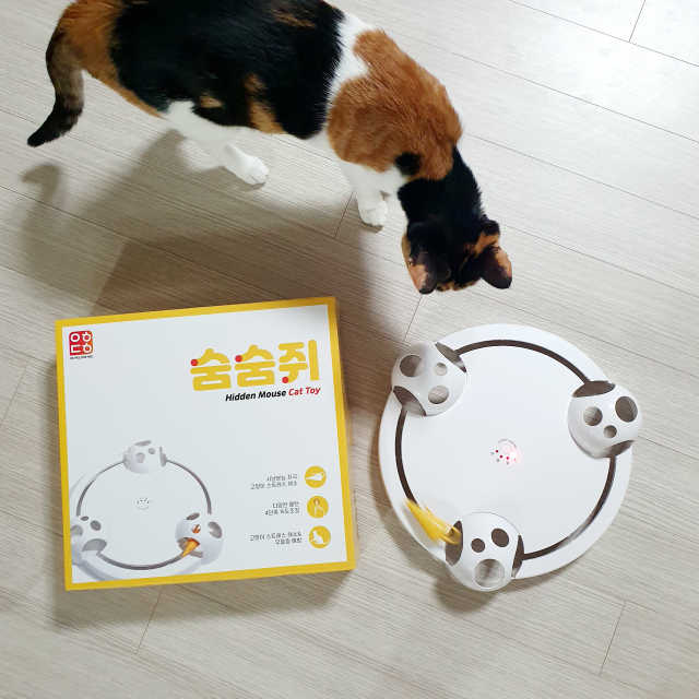 옥희독희 숨숨쥐 리뷰 사진