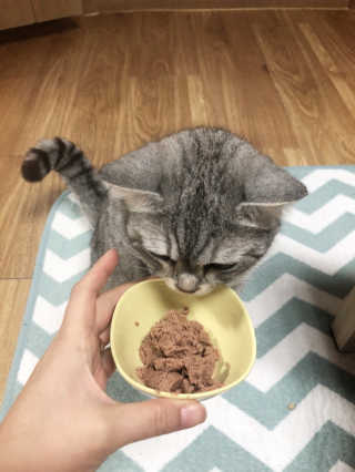 jinvely님이 올린 리뷰 사진 4