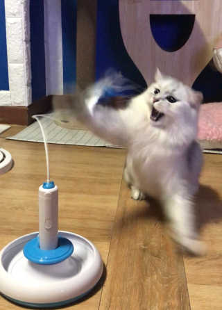 fively님이 올린 리뷰 사진 3