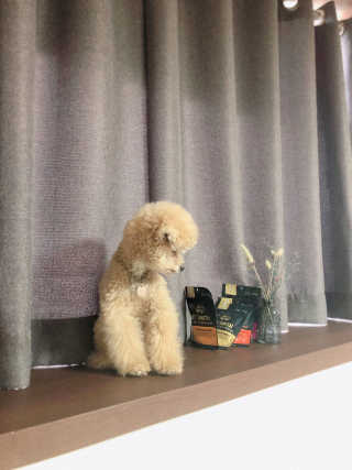 NINI님이 올린 리뷰 사진 3