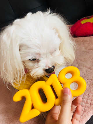 권신혜님이 올린 리뷰 사진 2