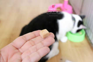 서리안님이 올린 리뷰 사진 3
