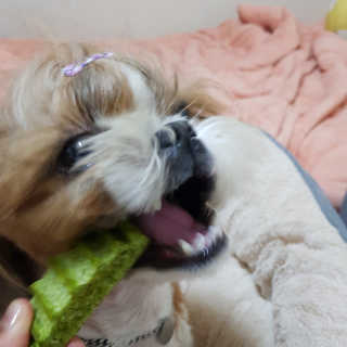 민준맘님이 올린 리뷰 사진 4