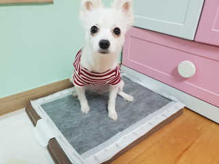 YouReena님이 올린 리뷰 사진 2
