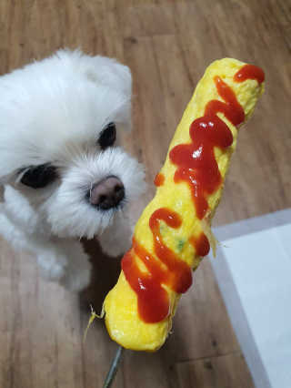 뽀오오옹님이 올린 리뷰 사진 2