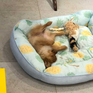 문세인님이 올린 리뷰 사진 4