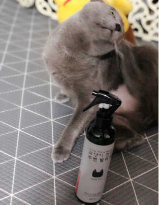 은쓸님이 올린 리뷰 사진 1