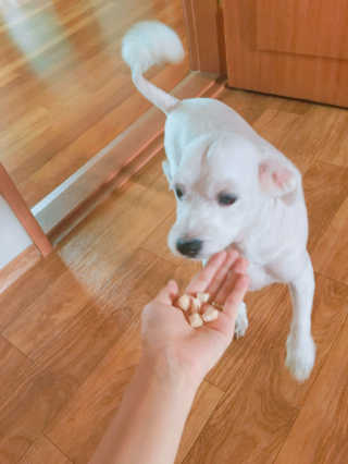 백혜지님이 올린 리뷰 사진 3