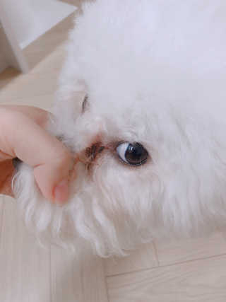 잠보아 뉴트리페어 굿바이 티어스테인 — 4점을 준 리뷰어가 2019년 10월 올린 사용 사진