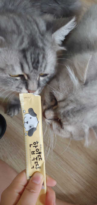[펫토리아]짜먹는 한입뚝딱 강아지.고양이 마약간식 — 5점을 준 리뷰어가 2019년 8월 올린 사용 사진
