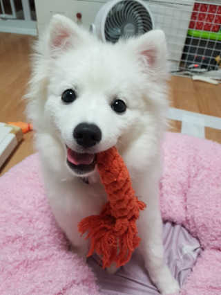 ❤지니❤님이 올린 리뷰 사진 2
