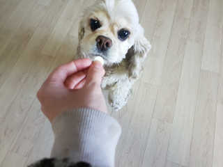 SohyeonLee님이 올린 리뷰 사진 4