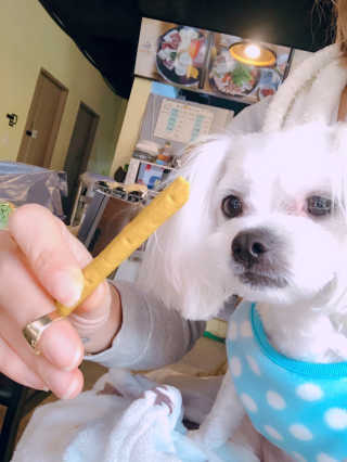 도순이님이 올린 리뷰 사진 2