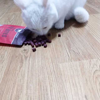 야키소바빵님이 올린 리뷰 사진 1