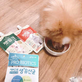 [빙그레] 에버그로 생유산균 1봉（10포입）+펫밀크2팩 — 5점을 준 리뷰어가 2019년 5월 올린 사용 사진