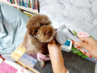 달콤오기님이 올린 리뷰 사진 4