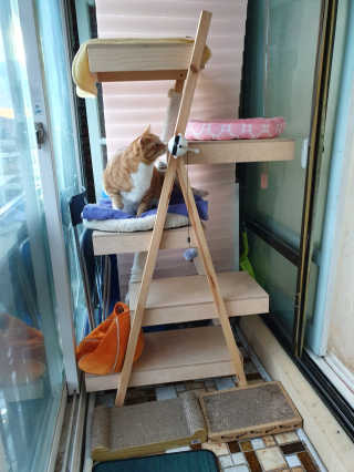 제니블링님이 올린 리뷰 사진 3