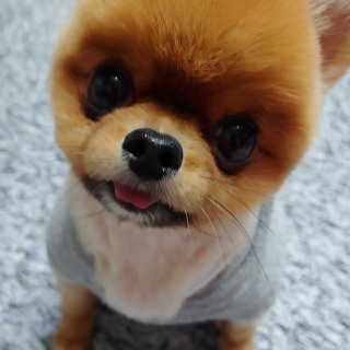 max님이 올린 리뷰 사진 3