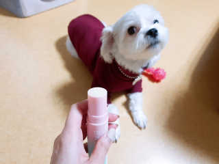 김상호님이 올린 리뷰 사진 2