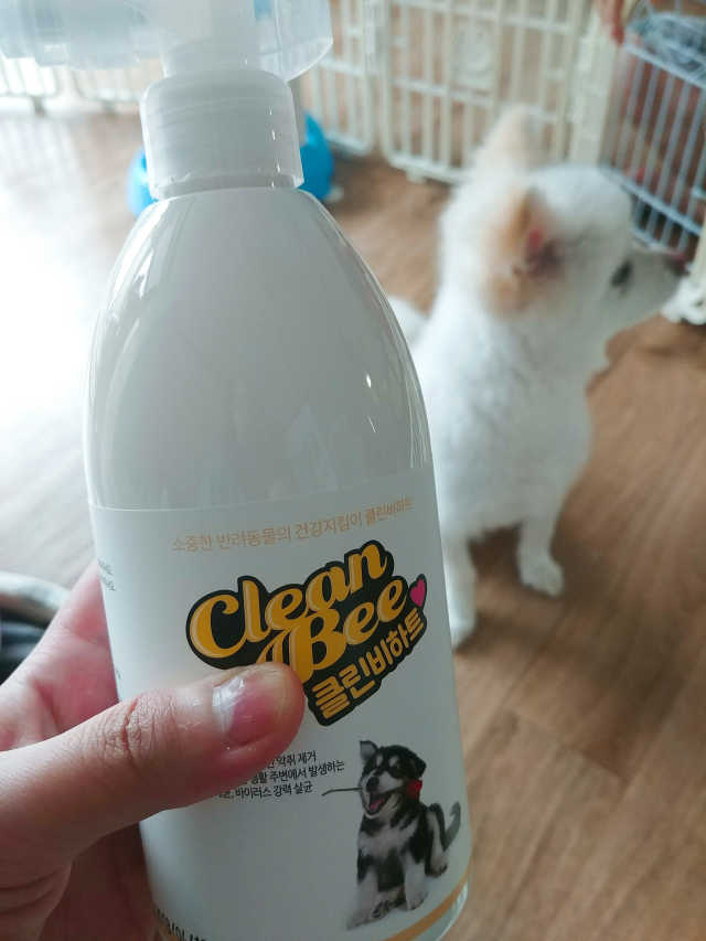 반려동물 전용 탈취살균수 클린비하트 리뷰 사진