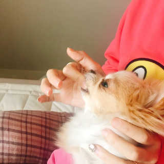 욜랭이님이 올린 리뷰 사진 3