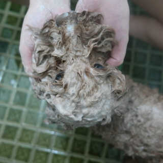 복깨비님이 올린 리뷰 사진 4