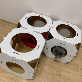댜니님이 올린 리뷰 사진 1