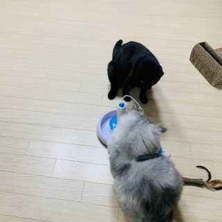 한비님이 올린 리뷰 사진 3