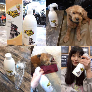 조언니님이 올린 리뷰 사진 1