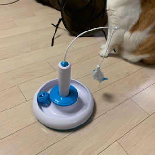 ollie님이 올린 리뷰 사진 3