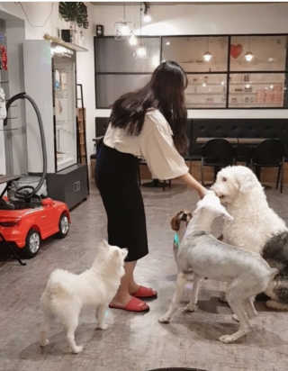 도리야님이 올린 리뷰 사진 4