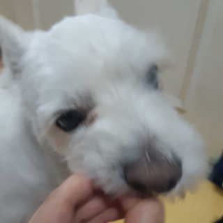 MK님이 올린 리뷰 사진 1