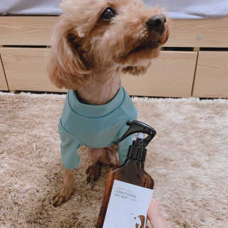 규빈띵쏘님이 올린 리뷰 사진 2