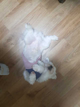 또자님이 올린 리뷰 사진 3