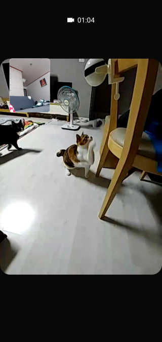 쮸동비님이 올린 리뷰 사진 1