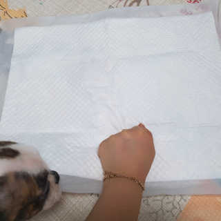 주여니이님이 올린 리뷰 사진 4