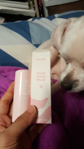 손수연님이 올린 리뷰 사진 1