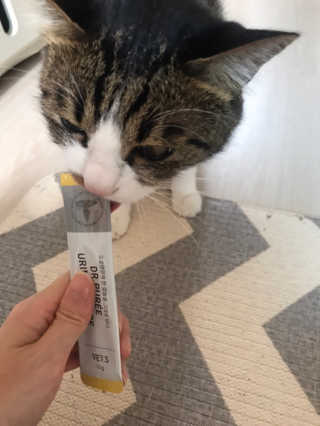 글라라5205님이 올린 리뷰 사진 1